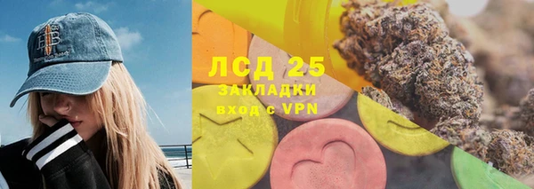 прущие крисы Бородино