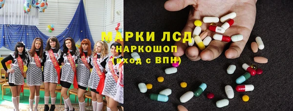 прущие крисы Бородино